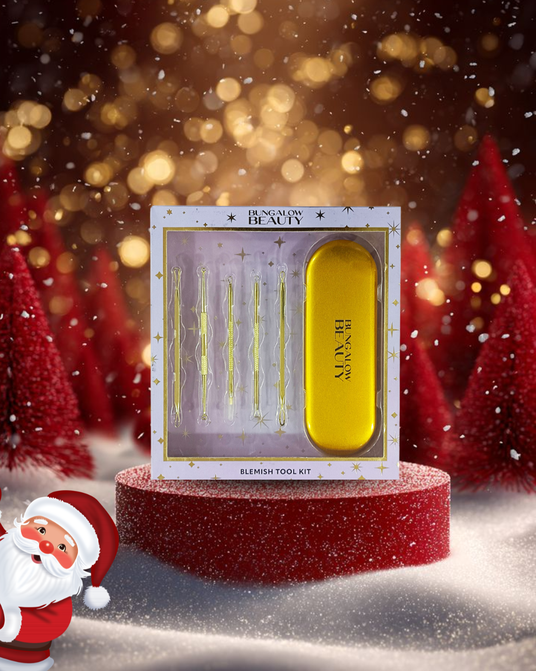 Blemish Tool Kit (Blackhead Remover)