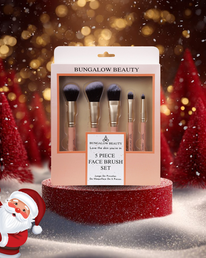 Premium Makeup Brush (Set Of 5)