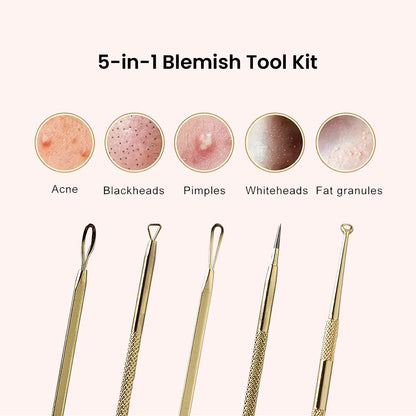 Blemish Tool Kit (Blackhead Remover)